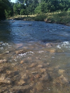 creek photo