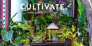 cultivate